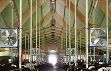 Ventilation popular for livestock houses